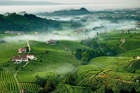 Franciacorta Wines & Bergamo from Milan - Private Tour