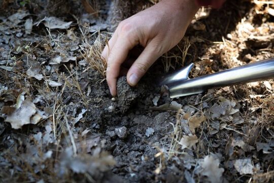 Truffle hunting with Professional photographer