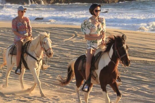 Cabo Combo Adventure