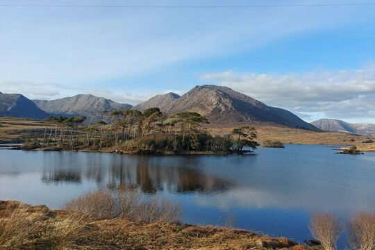 Connemara, Kylemore Abbey, Sky Road Private Tour from Galway.