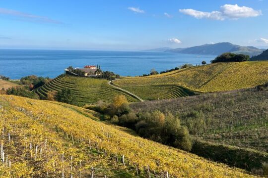 Coastal "Winery Camino Trail" Walking Tour from San Sebastian