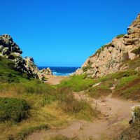Shore Excursions