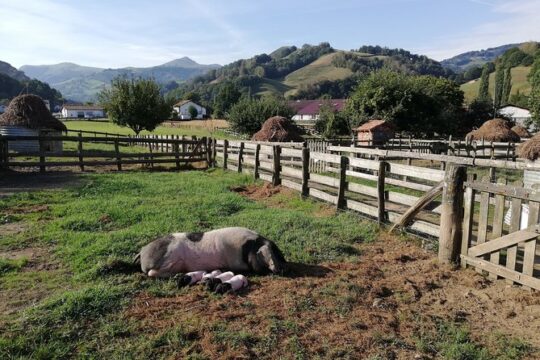 Unspoiled FRENCH BASQUE COUNTRYSIDE - Private Cultural Adeventure
