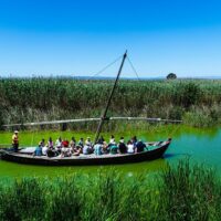 Cruises, Sailing & Water Tours