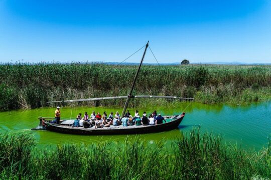 Private Albufera Day Trip: Paella, Boat Ride and Nature Trek