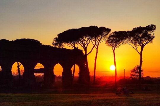 The ancient aqueducts of Rome