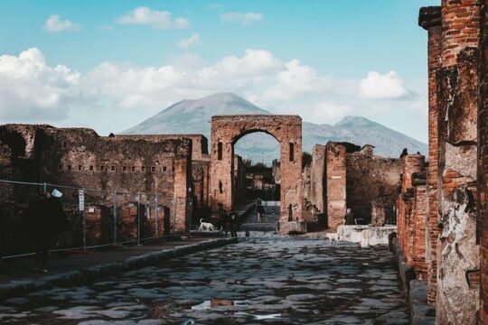 Amalfi Coast Tour: Pompei, Sorrento, Positano
