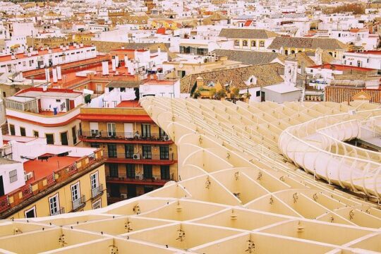 Seville from Granada in a small group