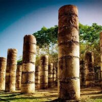 Shore Excursions