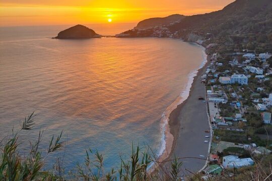 Half Day Private Guided Tour of the Island of Ischia