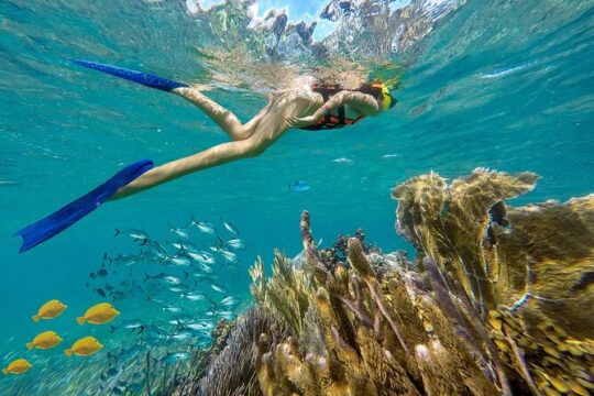 Puerto Morelos Reef Snorkeling & Beachside Lunch