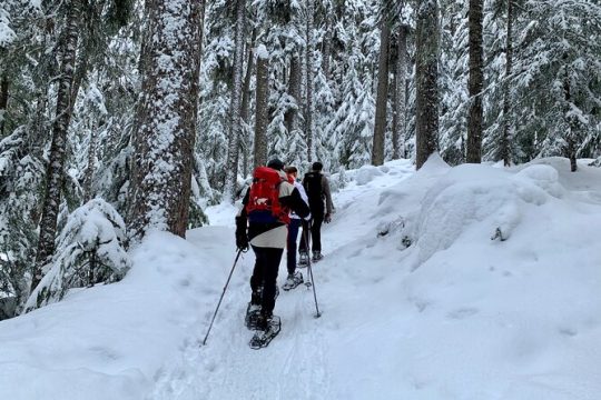 Whistler Lost Lake Snowshoeing and Village Tour