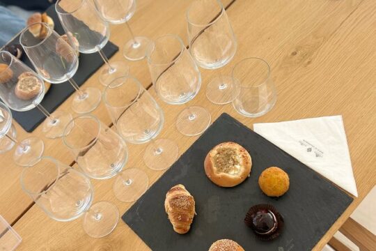 Small group wine tasting experience from Palermo