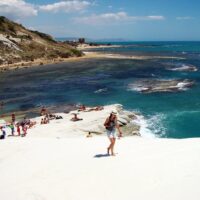 Shore Excursions