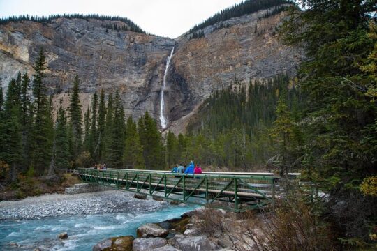 Discover Grizzly Bears from Banff