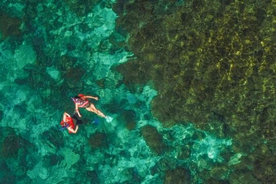 Snorkel in Balandras Hidden Beaches & Sea lion swim in La Paz