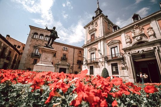History, Culture and Architecture on Private Madrid Tour with Local Expert