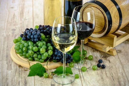 Day Trip: Truffle Hunting With Lunch + Wine Tour With Tasting