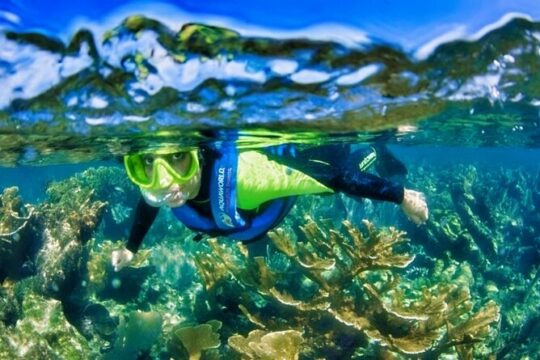 Underwater Museum of Art Snorkel Experience