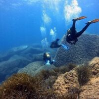 Scuba Diving