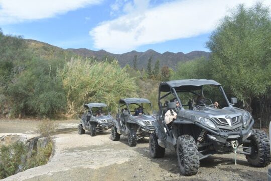 1 Hour Buggy Safari Experience in the Mountains of Mijas with Guide