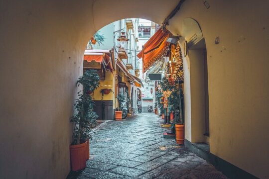 Discover Sorrento: A Family Walking Tour of City Charms