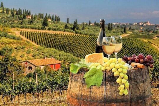 Private half day Tour to Chianti Classico from Florence