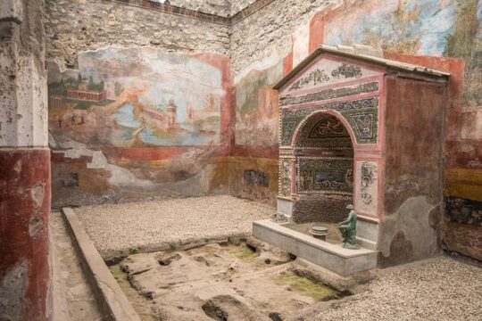 Naples or Sorrento roundtrip to Pompeii for families