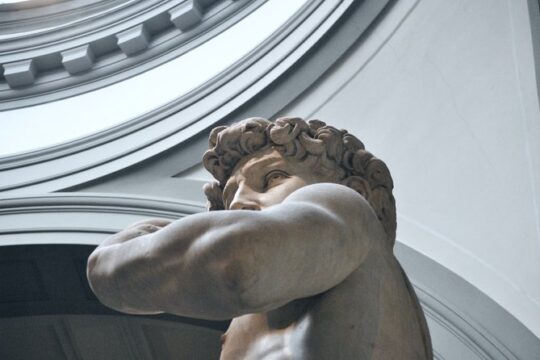 Semi-Private Tour: Accademia Gallery and City Tour