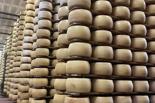 Parmigiano Tasting & Wine Private Tour in Parma