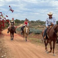 Shore Excursions