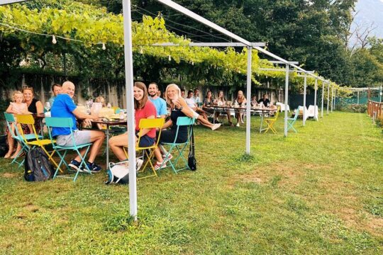 Savor Ossola Wines & Local Treats in a Scenic Vineyard