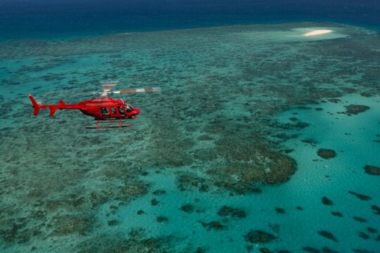 Great Barrier Reef or Rainforest Scenic Flights from Port Douglas