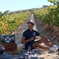 Day Trips & Excursions