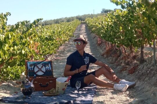 Full day in Cordoba between Vineyards and Olive Trees with a Convertible Car