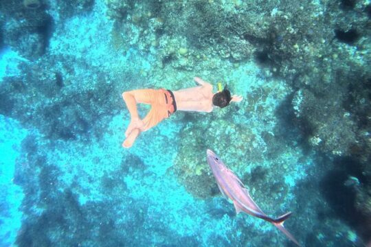 Private Snorkeling Tour on 3 Sites in Cozumel