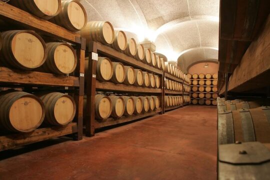 Cagliari: Experience Tasting from Chia