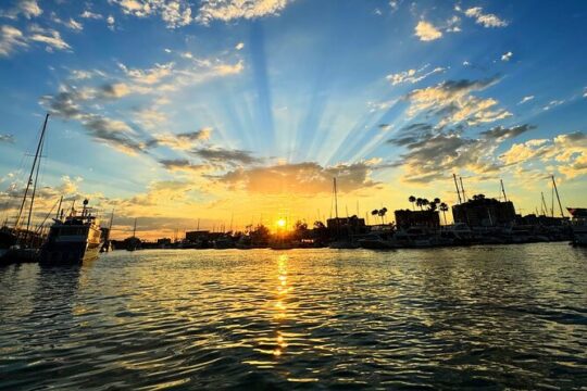 Romantic Luxury Boat Cruise with Wine Cheese Sea LionTours
