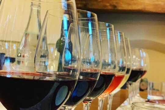 Guided Winery Tour with Top Tastings & Lunch in Bolgheri with Local Wine Guide