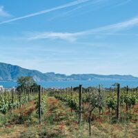Plantation Tours