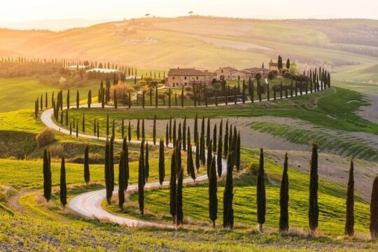 Private Day Trip Tuscany Landscape and Wine Tasting from Florence