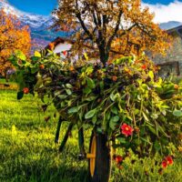 Sustainable Tours