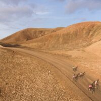 Private & Custom Tours