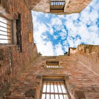 Shore Excursions