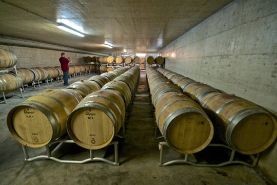 Etna Wine and Food Volcanic Day Tour - Private Experience