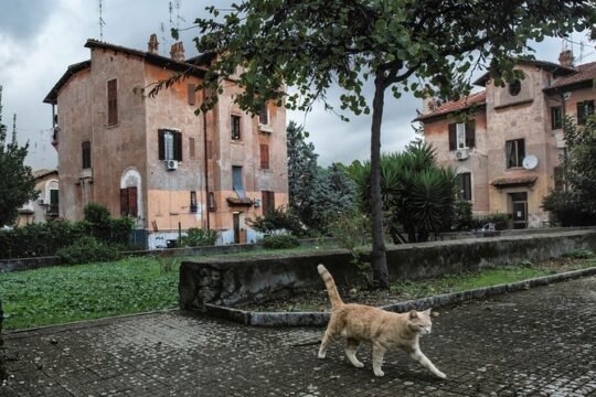 Photo Tour in Garbatella, the neighborhood of garden houses
