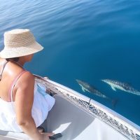 Cruises, Sailing & Water Tours