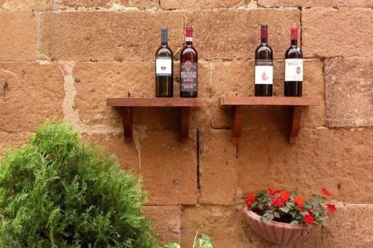 Day trip Brunello wine tours from Florence