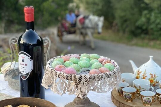 Olbia PASTA CLASS & FOOD EXPERIENCE within old tipycal village