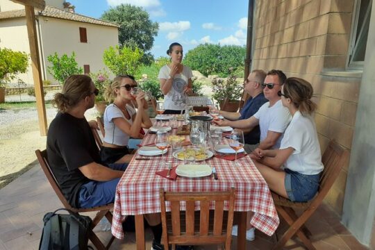 Wine & Olive Oil Tasting in Chianti Winery with Tour